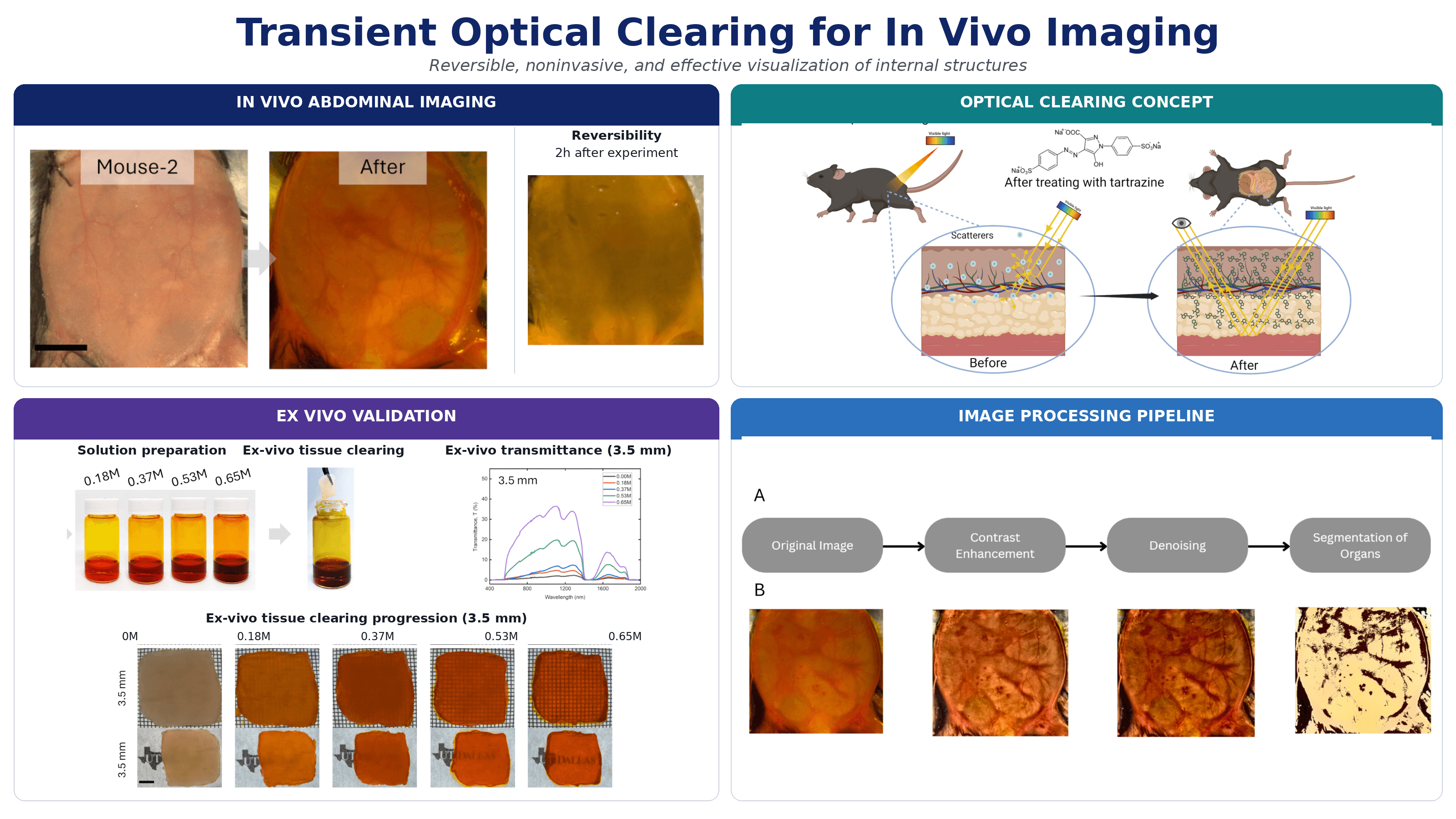 Transient Optical Clearing for In Vivo Imaging